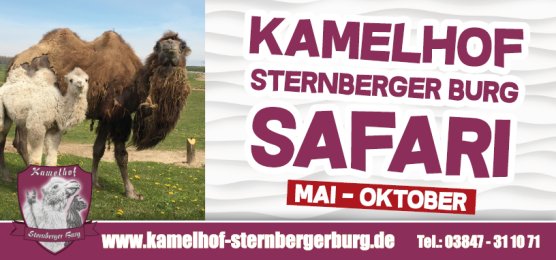 Kamelhof Sternbergerburg